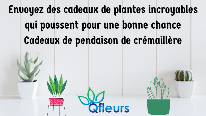 Envoyez des cadeaux de plantes incroyables qui poussent pour une bonne chance Cadeaux de pendaison de crémaillère