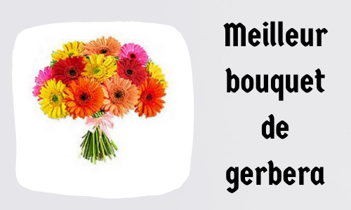 Meilleur bouquet de gerbera