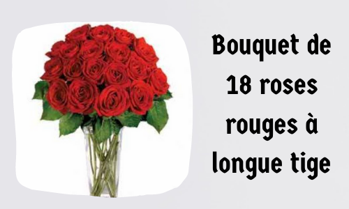 Bouquet de 18 roses rouges à longue tige