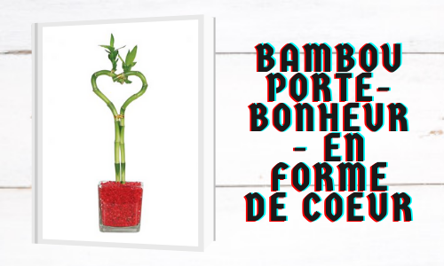 Bambou porte-bonheur - En forme de coeur
