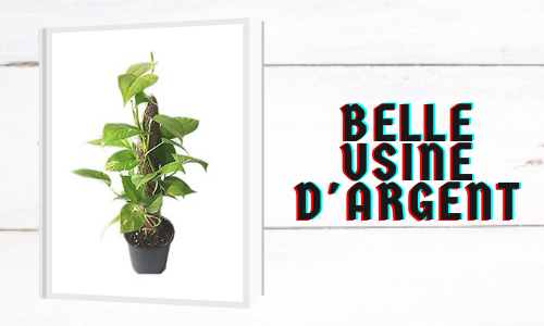 Belle usine d'argent