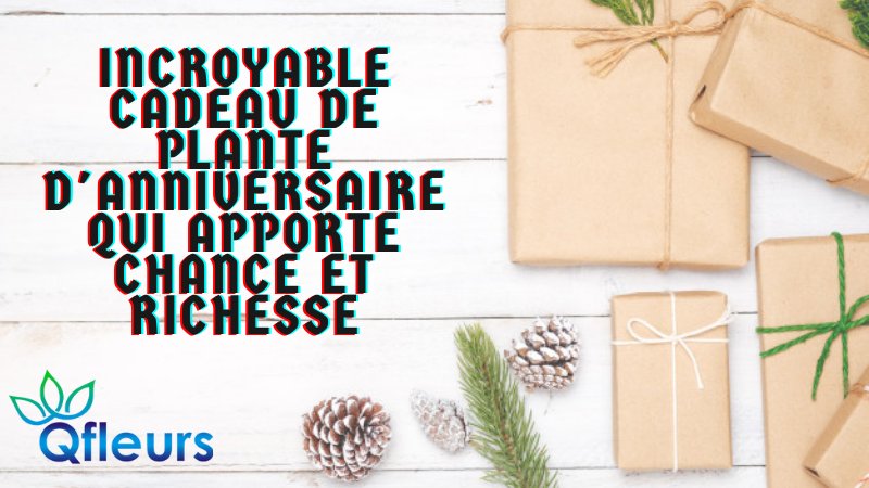Incroyable cadeau de plante d'anniversaire qui apporte chance et richesse