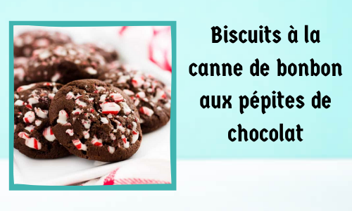 Biscuits à la canne de bonbon aux pépites de chocolat