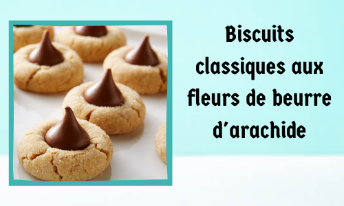 Biscuits classiques aux fleurs de beurre d'arachide