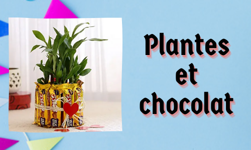 Plantes et chocolat