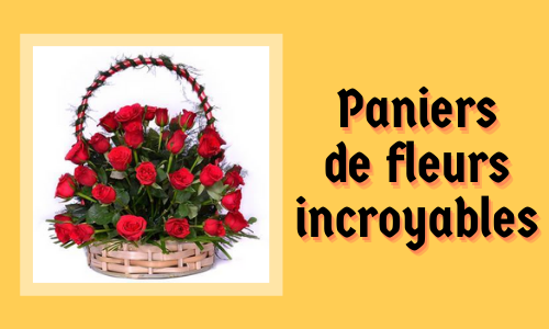 Paniers de fleurs incroyables