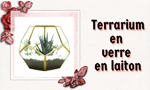 Terrarium en verre en laiton