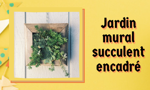Jardin mural succulent encadré
