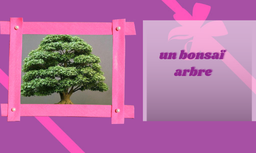 un bonsaï arbre