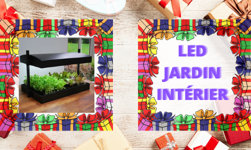 LED JARDIN INTÉRIEUR
