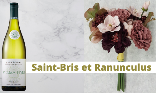 Saint-Bris et Ranunculus