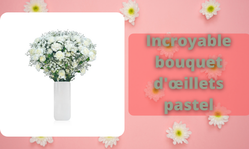 Incroyable bouquet d'œillets pastel