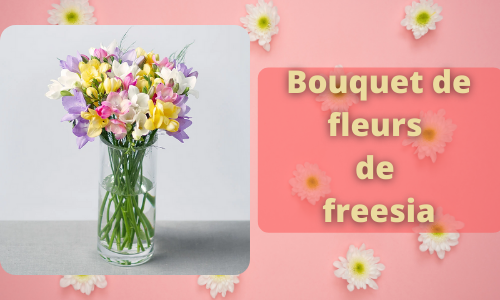 Bouquet de fleurs de freesia