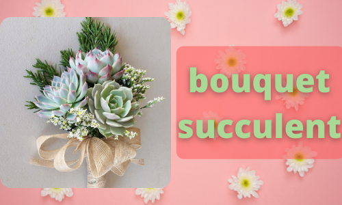 bouquet succulent