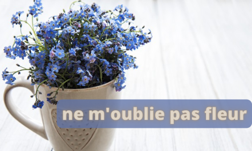 Ne m'oublie pas