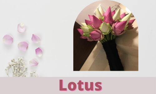 lotus