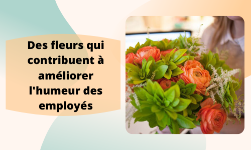 Des fleurs qui aident &agrave; am&eacute;liorer l'humeur des employ&eacute;s