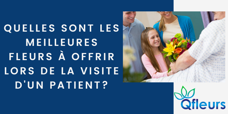 Quelles sont les meilleures fleurs à offrir lorsque vous visitez des patients?