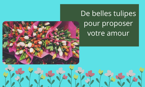 De belles tulipes pour proposer votre amour