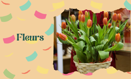 Fleurs