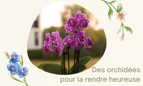 Des orchid&eacute;es pour la rendre heureuse