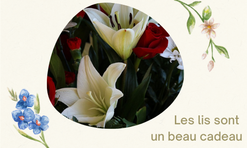  Les lis sont un beau cadeau