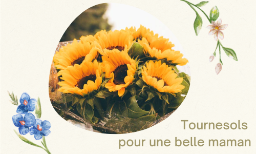 Tournesols pour une belle maman