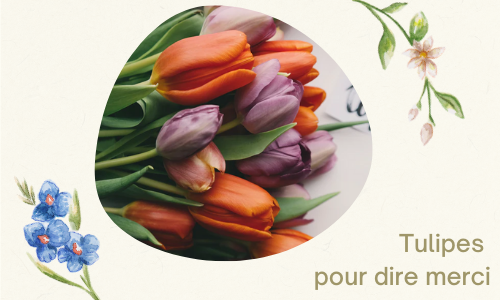 Tulipes pour dire merci