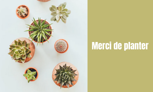 Merci de planter