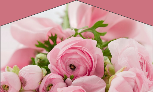 Les fleurs qu'elle aime le plus