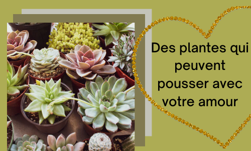 Des plantes qui peuvent pousser avec votre amour