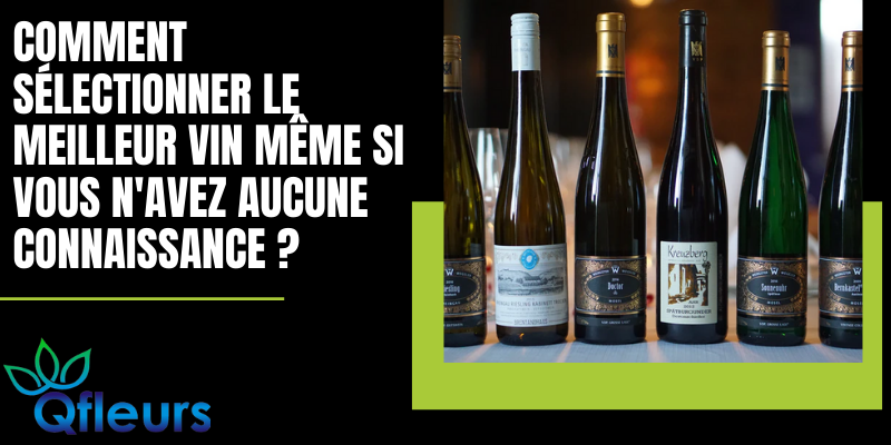Comment s&eacute;lectionner le meilleur vin m&ecirc;me si vous n'avez aucune connaissance ?