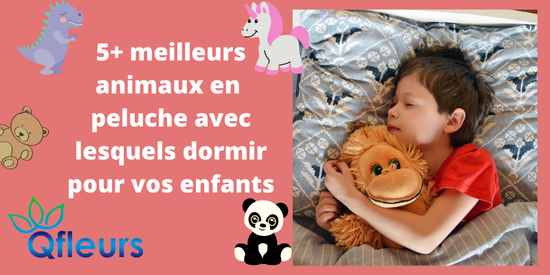 5+ meilleurs animaux en peluche avec lesquels dormir pour vos enfants
