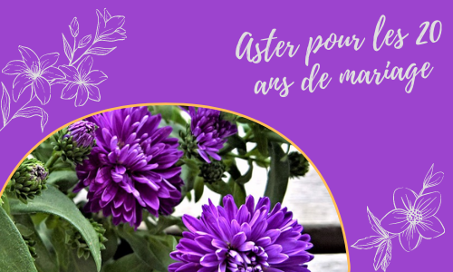 Aster pour les 20 ans de mariage