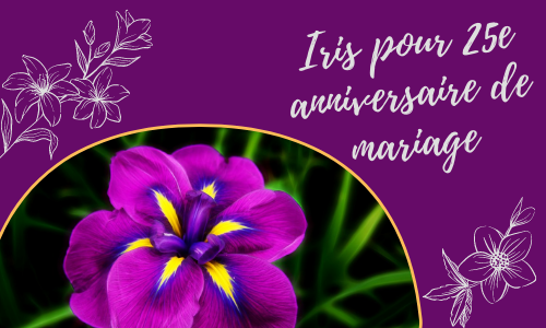 Iris pour 25e anniversaire de mariage