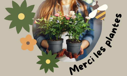 Merci les plantes