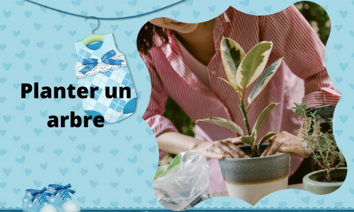 Planter un arbre