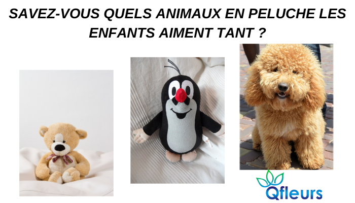 Savez-vous quels animaux en peluche les enfants aiment tant ?