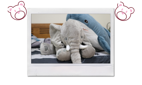 B&eacute;b&eacute; &eacute;l&eacute;phant