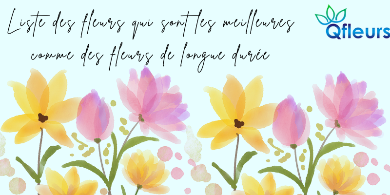  Liste des fleurs qui sont les meilleures comme des fleurs de longue durée 