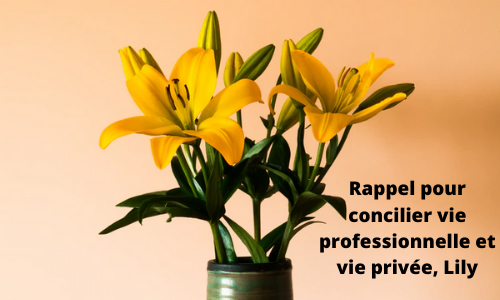 Rappel pour concilier vie professionnelle et vie priv&eacute;e, Lily