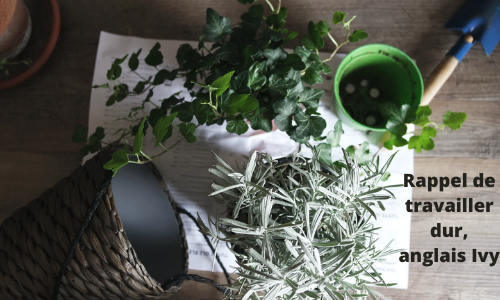 Rappel de travailler dur, anglais Ivy