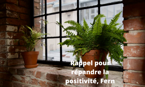 Rappel pour r&eacute;pandre la positivit&eacute;, Fern
