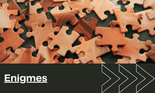 &eacute;nigmes
