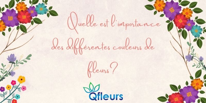 Quelle est l'importance des diff&eacute;rentes couleurs de fleurs?