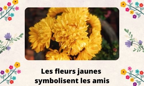 Les fleurs jaunes symbolisent les amis