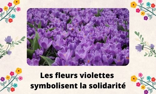 Les fleurs violettes symbolisent la solidarit&eacute;