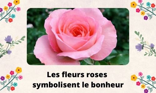 Les fleurs roses symbolisent le bonheur