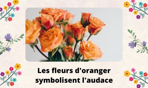 Les fleurs d'oranger symbolisent l'audace