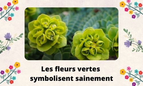 Les fleurs vertes symbolisent sainement